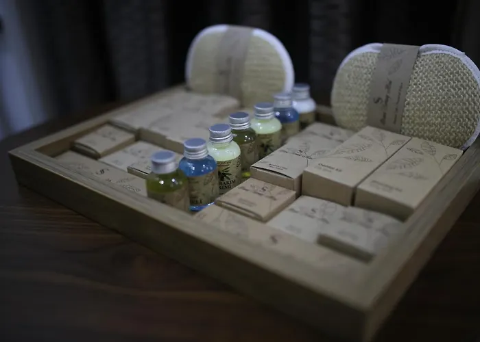 Grand Serenay 酒店 3*